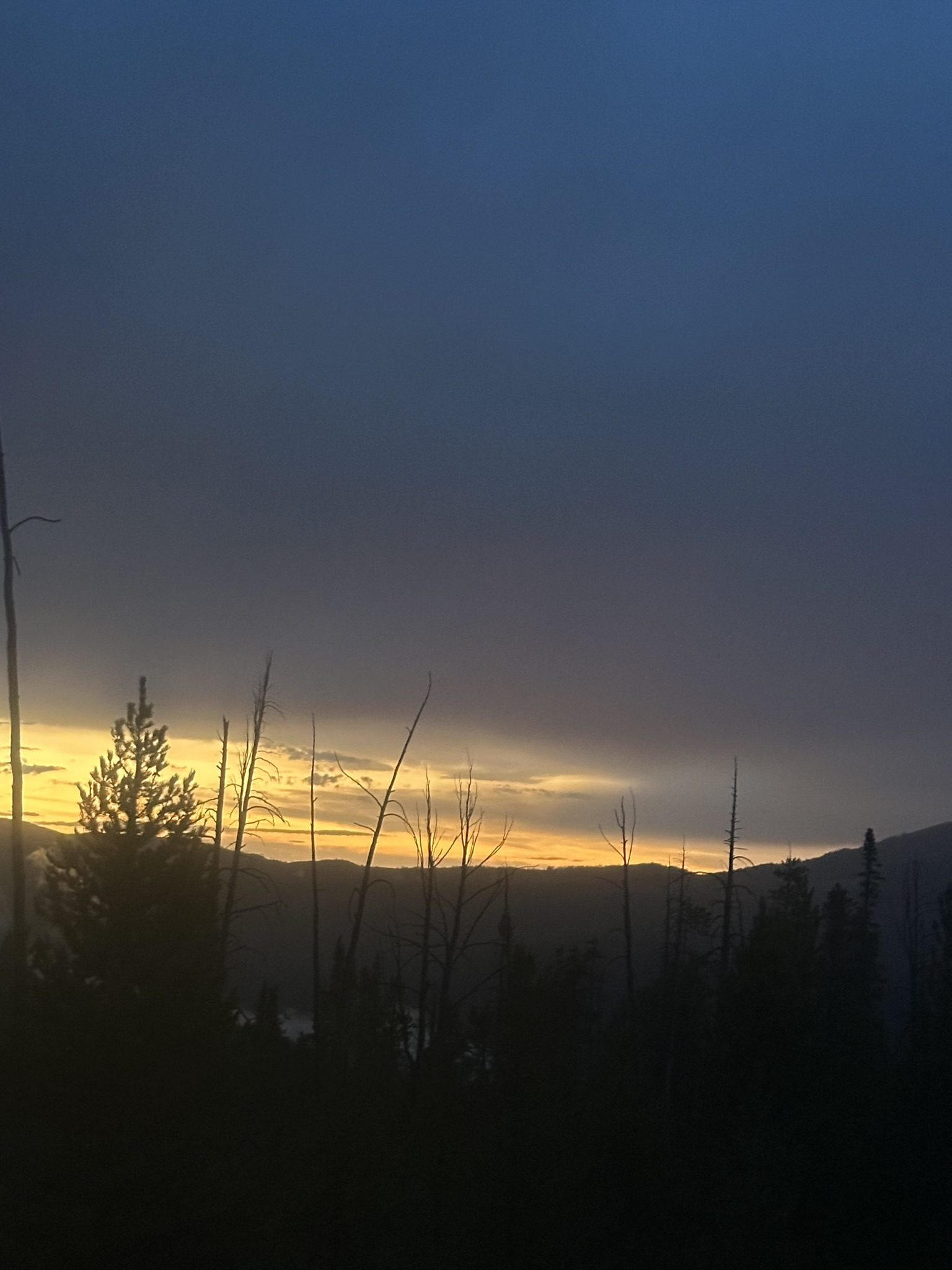 Yellowstone And Grand Teton National Parks - Image 1223